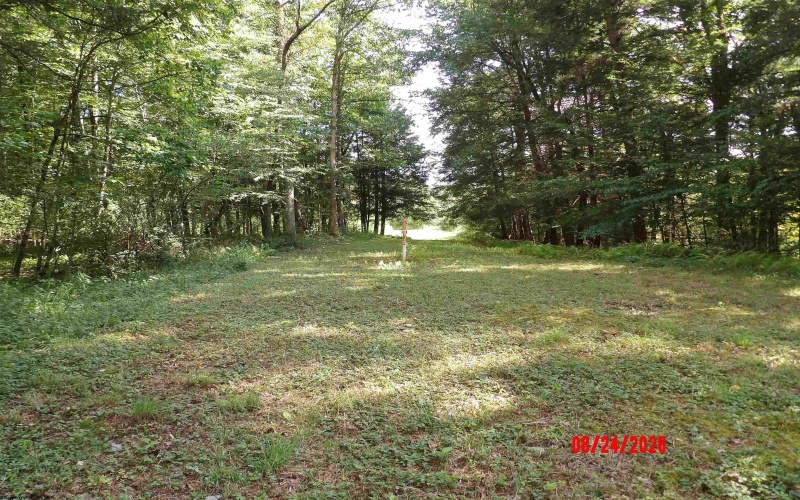 3788 Brushy Fork Road, Buckhannon, West Virginia 26201, 3 Bedroom Bedrooms, 5 Room Rooms,1 BathroomBathrooms,Single Family Detached,For Sale,Brushy Fork,0,10166626