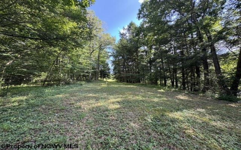 3788 Brushy Fork Road, Buckhannon, West Virginia 26201, 3 Bedroom Bedrooms, 5 Room Rooms,1 BathroomBathrooms,Single Family Detached,For Sale,Brushy Fork,0,10166626