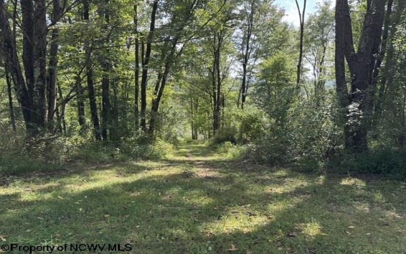 3788 Brushy Fork Road, Buckhannon, West Virginia 26201, 3 Bedroom Bedrooms, 5 Room Rooms,1 BathroomBathrooms,Single Family Detached,For Sale,Brushy Fork,0,10166626