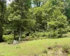84 Billingsley Hollow Road, Fairview, West Virginia 26570, 3 Bedroom Bedrooms, 7 Room Rooms,1 BathroomBathrooms,Single Family Detached,For Sale,Billingsley Hollow,0,10166628