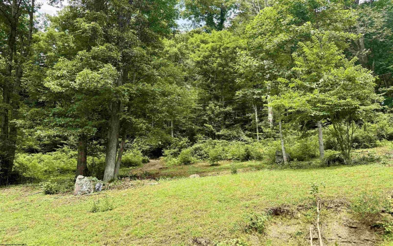 84 Billingsley Hollow Road, Fairview, West Virginia 26570, 3 Bedroom Bedrooms, 7 Room Rooms,1 BathroomBathrooms,Single Family Detached,For Sale,Billingsley Hollow,0,10166628
