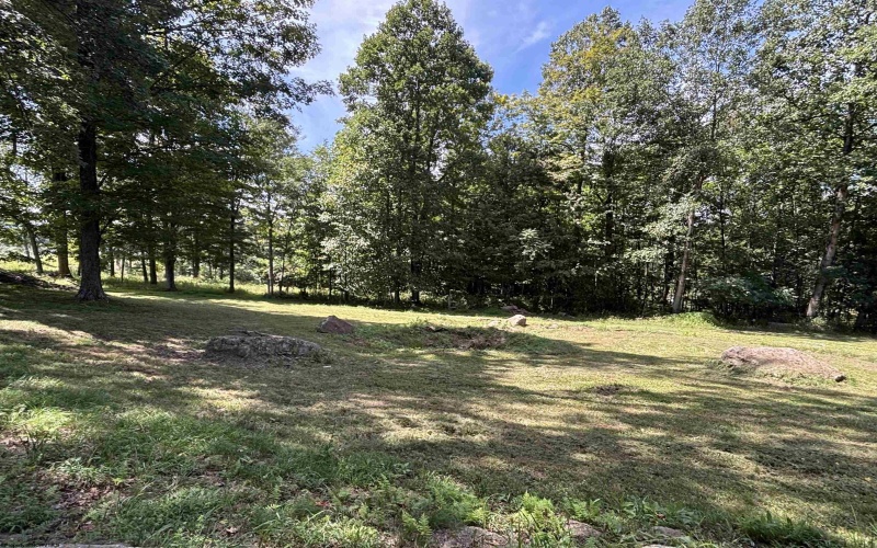 152 Rocky Lane, Volga, West Virginia 26238, 0 , 0 ,0,Lots/land,For Sale,Rocky,0,10166665