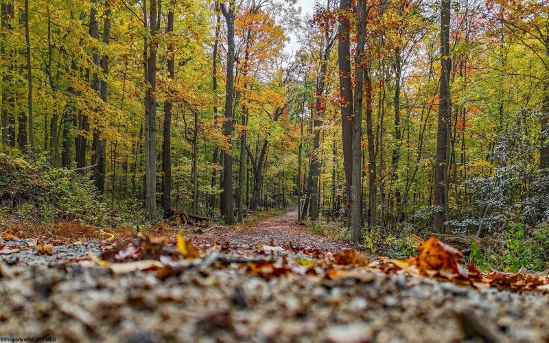 Lot 21 Snake Hill Road, Morgantown, West Virginia 26508, 0 , 0 ,0,Lots/land,For Sale,Snake Hill,0,10160384