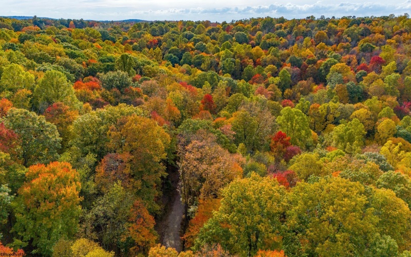 Lot 21 Snake Hill Road, Morgantown, West Virginia 26508, 0 , 0 ,0,Lots/land,For Sale,Snake Hill,0,10160384