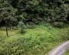786 Wilson Run Road, Pine Grove, West Virginia 26419, 0 , 0 ,0,Lots/land,For Sale,Wilson Run,0,10166659