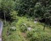786 Wilson Run Road, Pine Grove, West Virginia 26419, 0 , 0 ,0,Lots/land,For Sale,Wilson Run,0,10166659