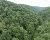 786 Wilson Run Road, Pine Grove, West Virginia 26419, 0 , 0 ,0,Lots/land,For Sale,Wilson Run,0,10166659