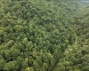 786 Wilson Run Road, Pine Grove, West Virginia 26419, 0 , 0 ,0,Lots/land,For Sale,Wilson Run,0,10166659
