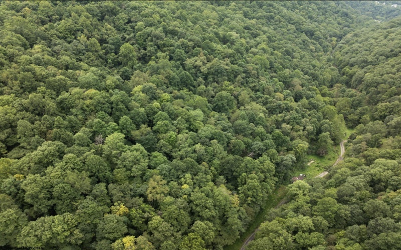 786 Wilson Run Road, Pine Grove, West Virginia 26419, 0 , 0 ,0,Lots/land,For Sale,Wilson Run,0,10166659