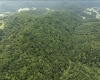 786 Wilson Run Road, Pine Grove, West Virginia 26419, 0 , 0 ,0,Lots/land,For Sale,Wilson Run,0,10166659