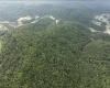 786 Wilson Run Road, Pine Grove, West Virginia 26419, 0 , 0 ,0,Lots/land,For Sale,Wilson Run,0,10166659