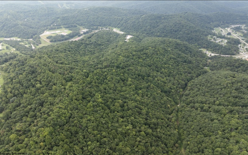 786 Wilson Run Road, Pine Grove, West Virginia 26419, 0 , 0 ,0,Lots/land,For Sale,Wilson Run,0,10166659