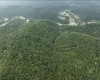 786 Wilson Run Road, Pine Grove, West Virginia 26419, 0 , 0 ,0,Lots/land,For Sale,Wilson Run,0,10166659