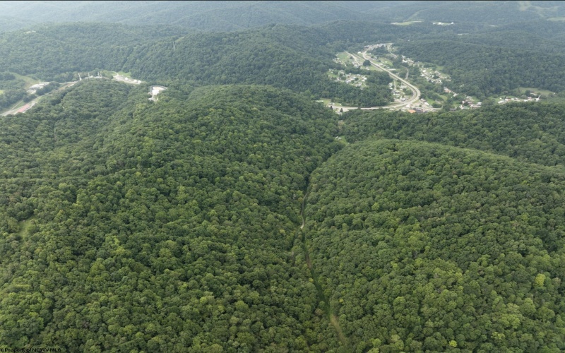 786 Wilson Run Road, Pine Grove, West Virginia 26419, 0 , 0 ,0,Lots/land,For Sale,Wilson Run,0,10166659
