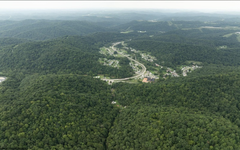 786 Wilson Run Road, Pine Grove, West Virginia 26419, 0 , 0 ,0,Lots/land,For Sale,Wilson Run,0,10166659