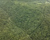 786 Wilson Run Road, Pine Grove, West Virginia 26419, 0 , 0 ,0,Lots/land,For Sale,Wilson Run,0,10166659