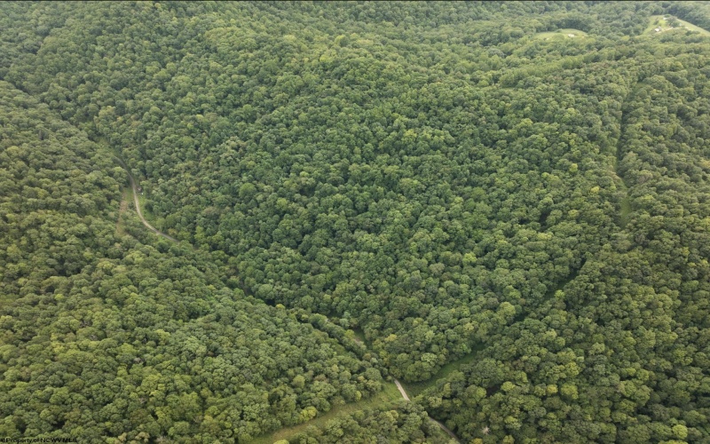 786 Wilson Run Road, Pine Grove, West Virginia 26419, 0 , 0 ,0,Lots/land,For Sale,Wilson Run,0,10166659