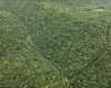 786 Wilson Run Road, Pine Grove, West Virginia 26419, 0 , 0 ,0,Lots/land,For Sale,Wilson Run,0,10166659