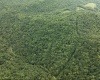 786 Wilson Run Road, Pine Grove, West Virginia 26419, 0 , 0 ,0,Lots/land,For Sale,Wilson Run,0,10166659