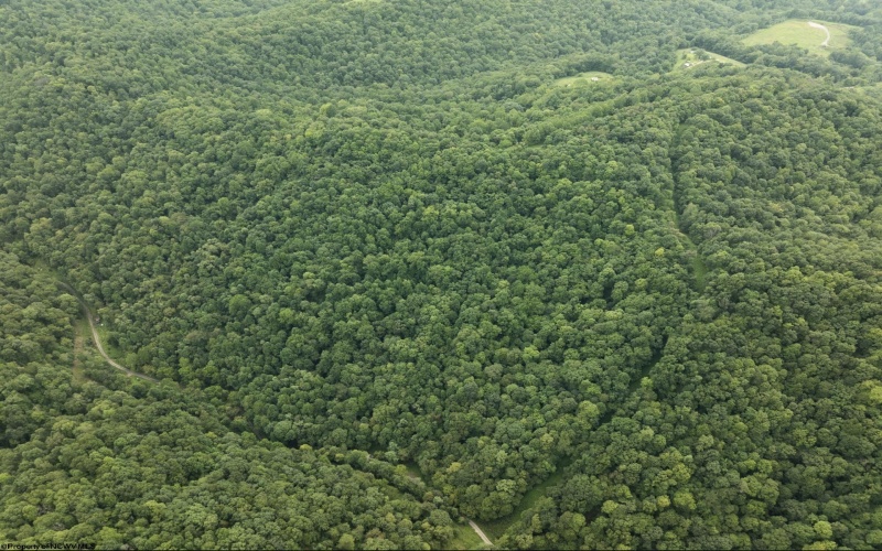 786 Wilson Run Road, Pine Grove, West Virginia 26419, 0 , 0 ,0,Lots/land,For Sale,Wilson Run,0,10166659