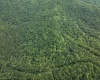 786 Wilson Run Road, Pine Grove, West Virginia 26419, 0 , 0 ,0,Lots/land,For Sale,Wilson Run,0,10166659