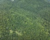 786 Wilson Run Road, Pine Grove, West Virginia 26419, 0 , 0 ,0,Lots/land,For Sale,Wilson Run,0,10166659