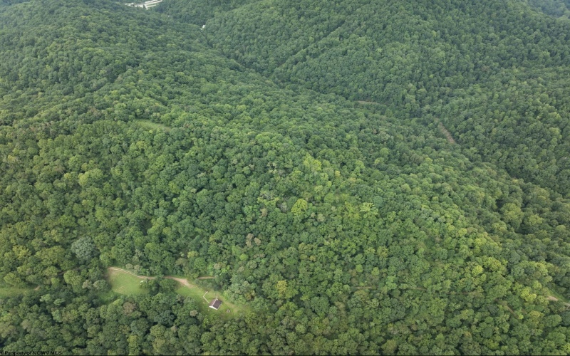 786 Wilson Run Road, Pine Grove, West Virginia 26419, 0 , 0 ,0,Lots/land,For Sale,Wilson Run,0,10166659