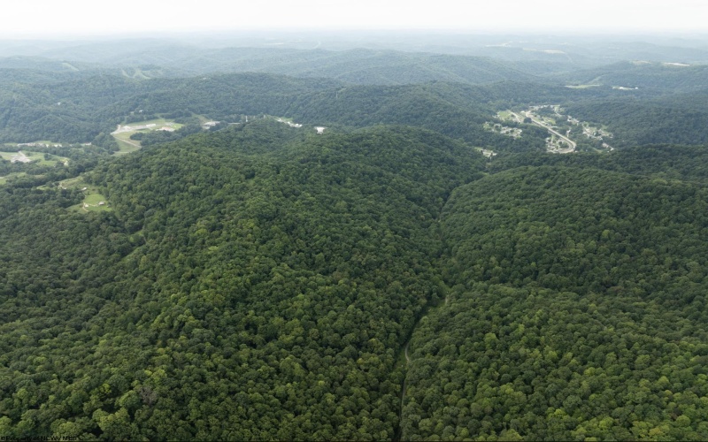 786 Wilson Run Road, Pine Grove, West Virginia 26419, 0 , 0 ,0,Lots/land,For Sale,Wilson Run,0,10166659