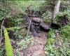 786 Wilson Run Road, Pine Grove, West Virginia 26419, 0 , 0 ,0,Lots/land,For Sale,Wilson Run,0,10166659