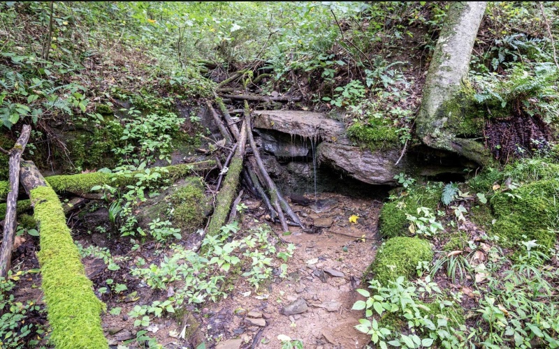 786 Wilson Run Road, Pine Grove, West Virginia 26419, 0 , 0 ,0,Lots/land,For Sale,Wilson Run,0,10166659