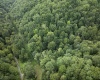 786 Wilson Run Road, Pine Grove, West Virginia 26419, 0 , 0 ,0,Lots/land,For Sale,Wilson Run,0,10166659