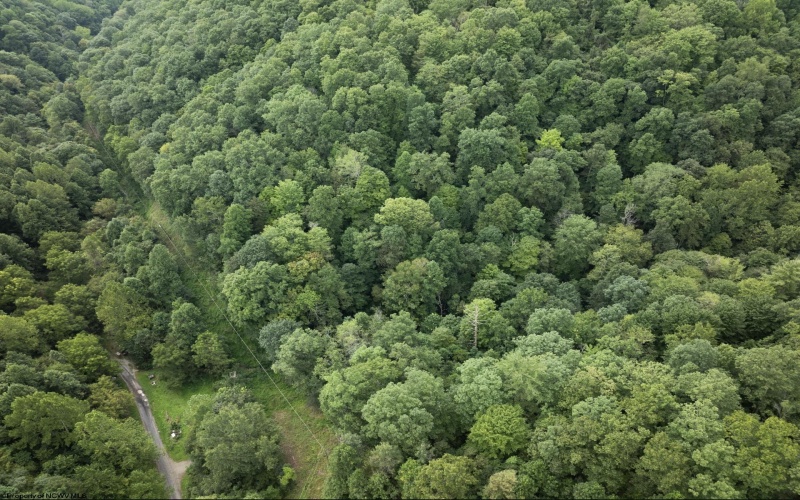786 Wilson Run Road, Pine Grove, West Virginia 26419, 0 , 0 ,0,Lots/land,For Sale,Wilson Run,0,10166659