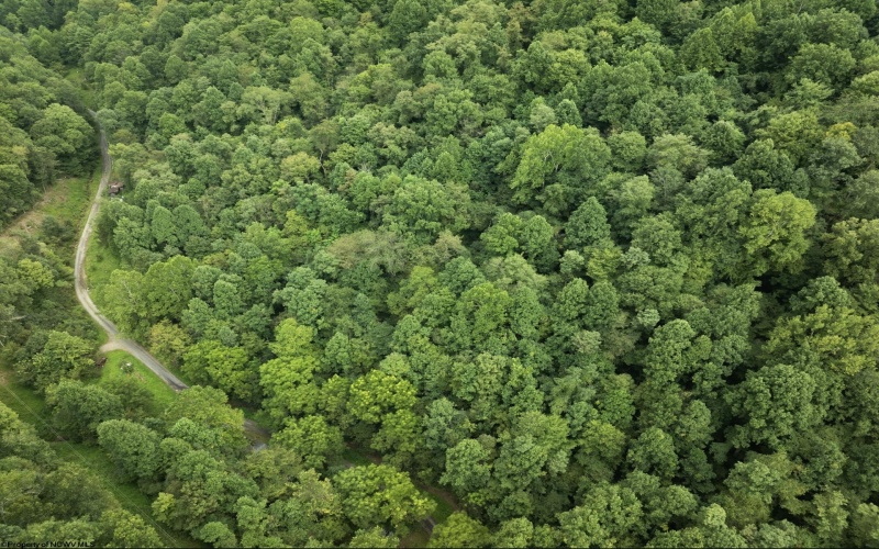 786 Wilson Run Road, Pine Grove, West Virginia 26419, 0 , 0 ,0,Lots/land,For Sale,Wilson Run,0,10166659