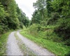 786 Wilson Run Road, Pine Grove, West Virginia 26419, 0 , 0 ,0,Lots/land,For Sale,Wilson Run,0,10166659