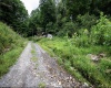 786 Wilson Run Road, Pine Grove, West Virginia 26419, 0 , 0 ,0,Lots/land,For Sale,Wilson Run,0,10166659