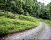 786 Wilson Run Road, Pine Grove, West Virginia 26419, 0 , 0 ,0,Lots/land,For Sale,Wilson Run,0,10166659