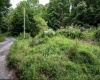 786 Wilson Run Road, Pine Grove, West Virginia 26419, 0 , 0 ,0,Lots/land,For Sale,Wilson Run,0,10166659