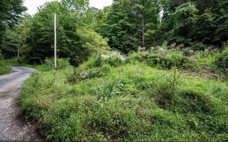 786 Wilson Run Road, Pine Grove, West Virginia 26419, 0 , 0 ,0,Lots/land,For Sale,Wilson Run,0,10166659