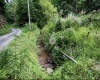 786 Wilson Run Road, Pine Grove, West Virginia 26419, 0 , 0 ,0,Lots/land,For Sale,Wilson Run,0,10166659
