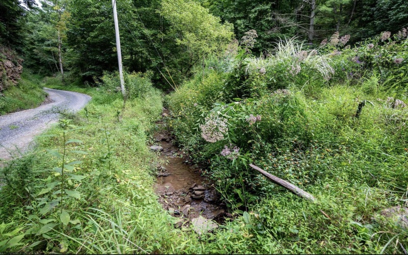 786 Wilson Run Road, Pine Grove, West Virginia 26419, 0 , 0 ,0,Lots/land,For Sale,Wilson Run,0,10166659