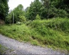 786 Wilson Run Road, Pine Grove, West Virginia 26419, 0 , 0 ,0,Lots/land,For Sale,Wilson Run,0,10166659