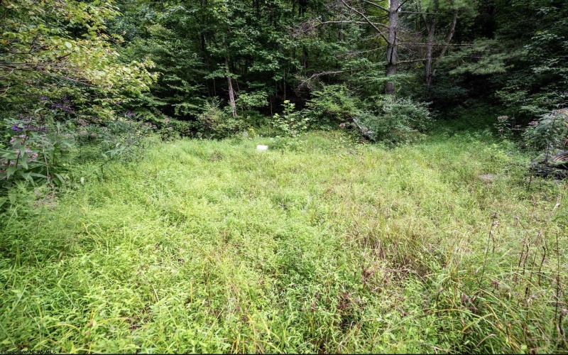 786 Wilson Run Road, Pine Grove, West Virginia 26419, 0 , 0 ,0,Lots/land,For Sale,Wilson Run,0,10166659
