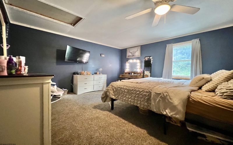 10915 Old Elkins Road, Ellamore, West Virginia 26267, 4 Bedroom Bedrooms, 11 Room Rooms,2 BathroomBathrooms,Single Family Detached,For Sale,Old Elkins,0,10166679