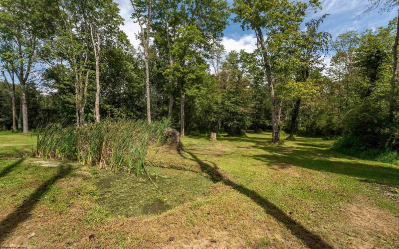 1752 Eighty Eight Road, Greensboro, Pennsylvania 15338, 2 Bedroom Bedrooms, 6 Room Rooms,2 BathroomBathrooms,Single Family Detached,For Sale,Eighty Eight,0,10166672