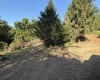 88 Ruby Drive, White Hall, West Virginia 26554, 0 , 0 ,0,Lots/land,For Sale,Ruby,0,10166683