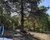88 Ruby Drive, White Hall, West Virginia 26554, 0 , 0 ,0,Lots/land,For Sale,Ruby,0,10166683