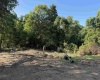 88 Ruby Drive, White Hall, West Virginia 26554, 0 , 0 ,0,Lots/land,For Sale,Ruby,0,10166683