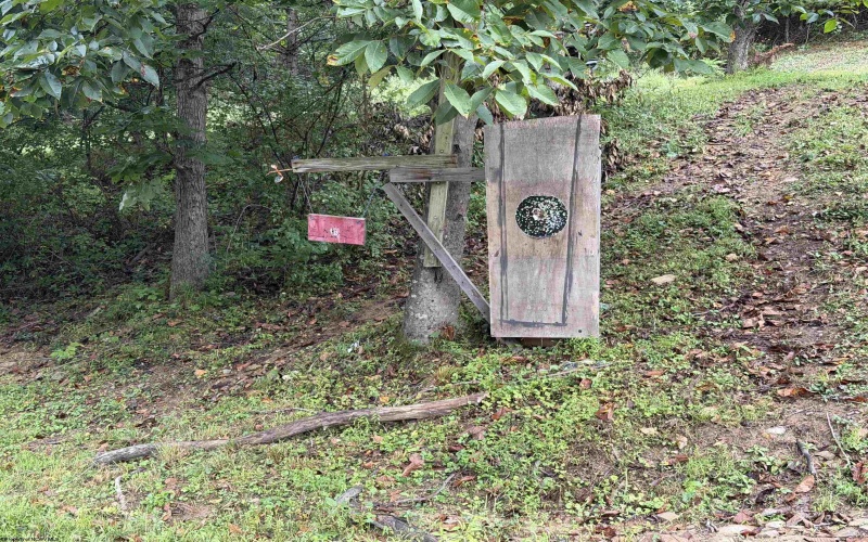 313 Pheasant Mountain Road, Kerens, West Virginia 26276, 3 Bedroom Bedrooms, 7 Room Rooms,2 BathroomBathrooms,Single Family Detached,For Sale,Pheasant Mountain,0,10166688