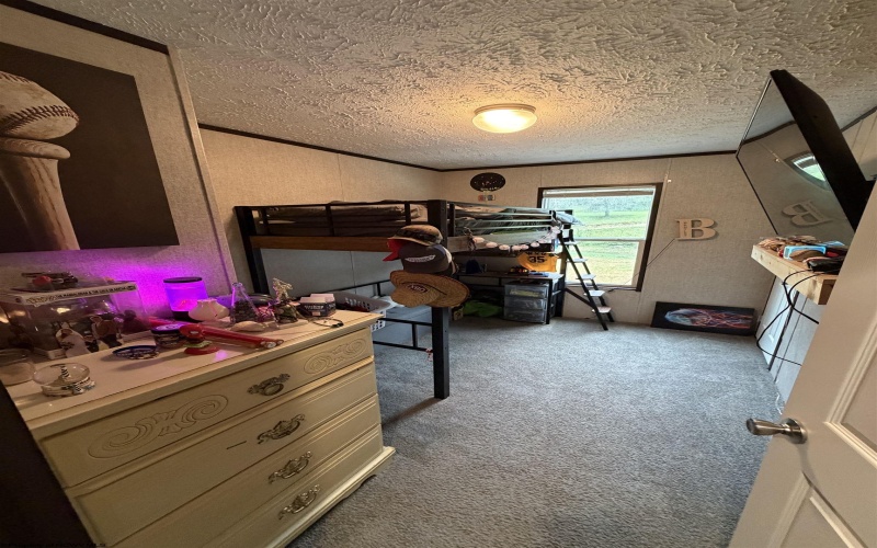 313 Pheasant Mountain Road, Kerens, West Virginia 26276, 3 Bedroom Bedrooms, 7 Room Rooms,2 BathroomBathrooms,Single Family Detached,For Sale,Pheasant Mountain,0,10166688