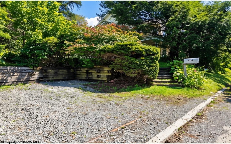 604 High Street, Terra Alta, West Virginia 26764, 4 Bedroom Bedrooms, 10 Room Rooms,1 BathroomBathrooms,Single Family Detached,For Sale,High,0,10166691